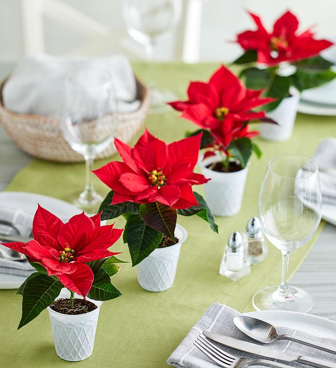 Poinsettia Place Card Holders   Set of 4