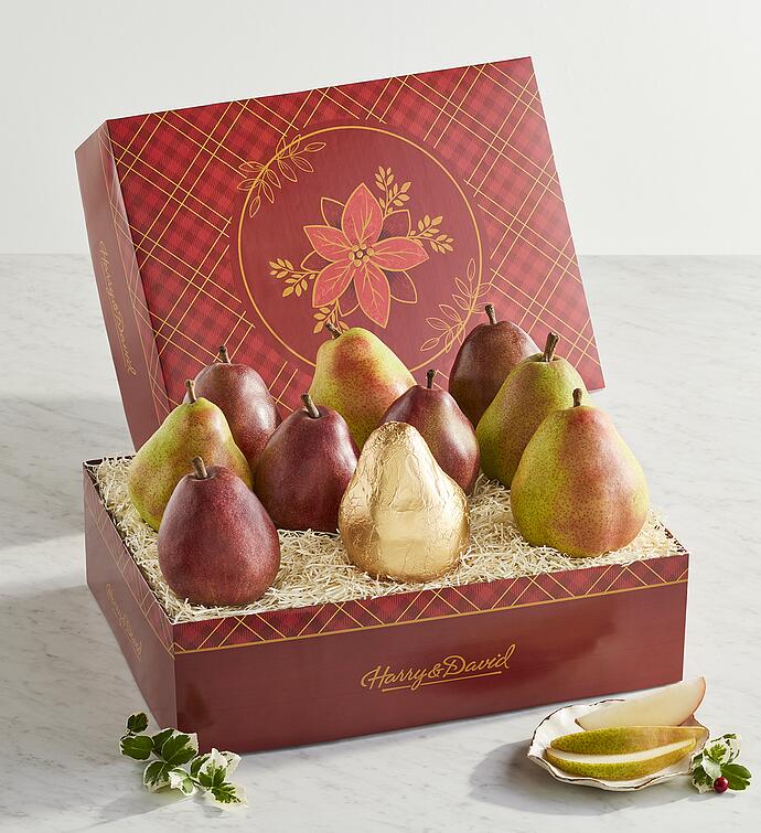 Colors of Christmas Pears