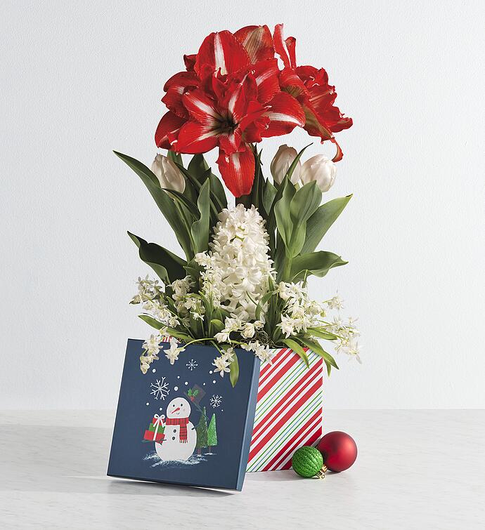 Holiday Bulb Garden