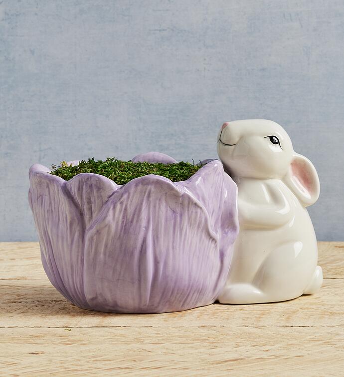 Crocus Bulb Garden in Bunny Planter