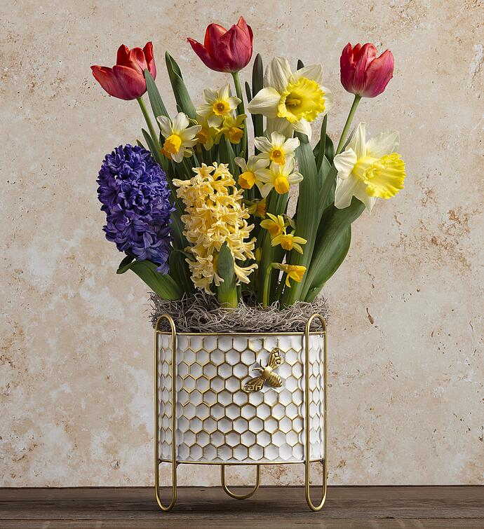 Spring Themed Bulb Garden