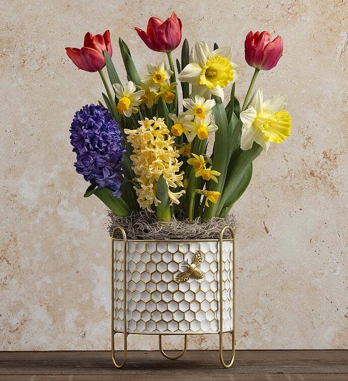 Spring Themed Bulb Garden