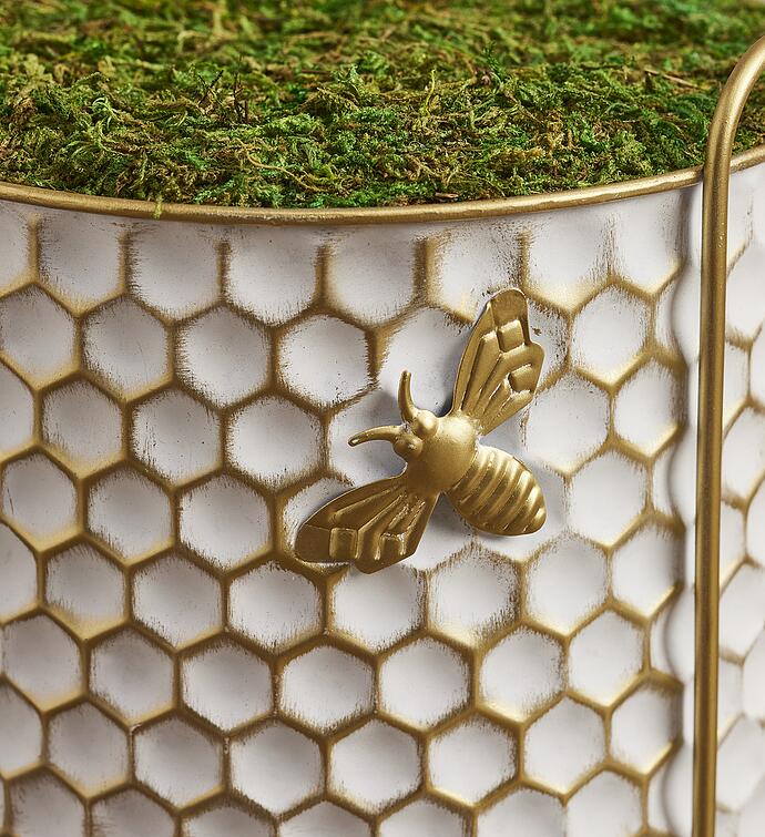 Spring-Themed Bulb Garden