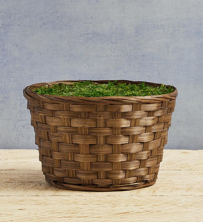 Grand Spring Bulb Garden