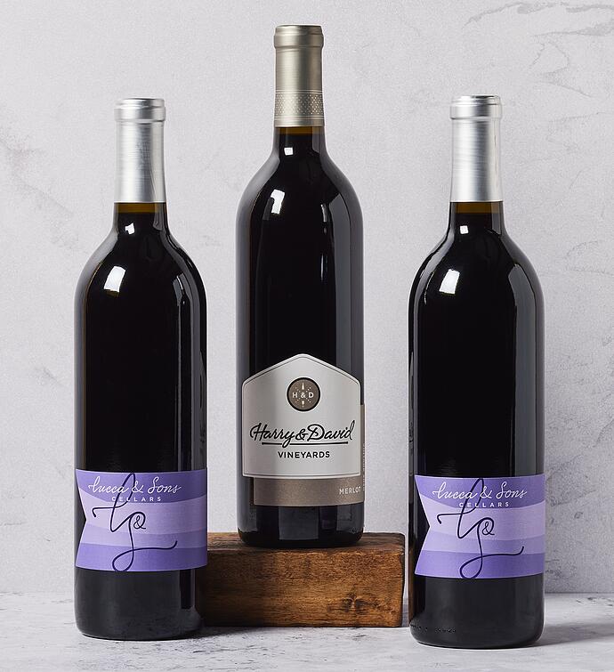 Merlot and Red Blend Trio