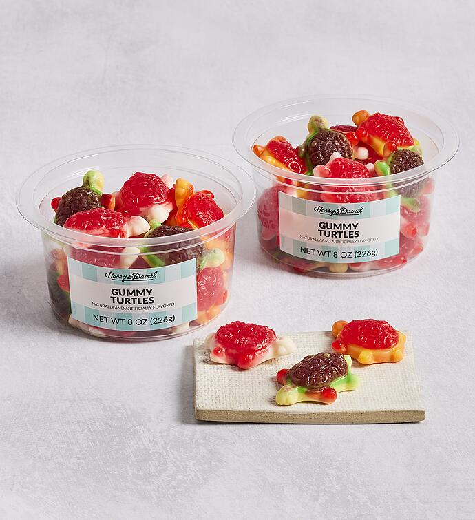 Gummy Turtles 2-Pack
