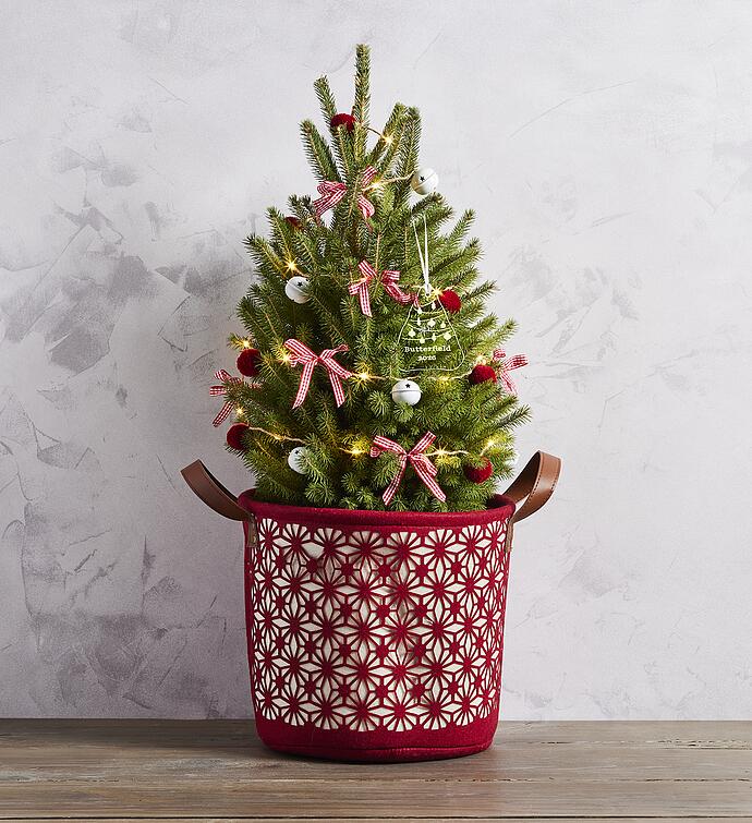 Decorated Spruce Christmas Tree with Christmas Ornament