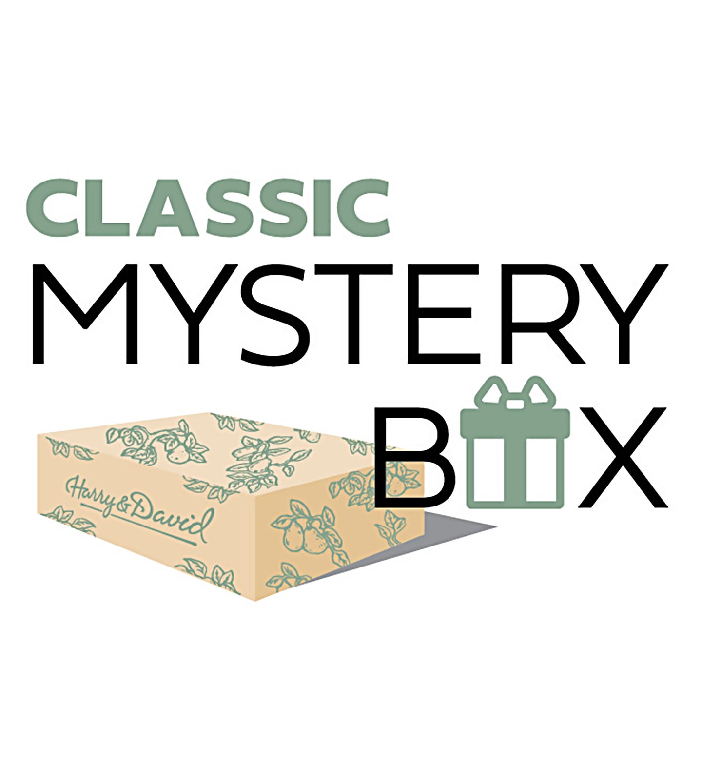 Mystery Box  Mystery box, Box, Mystery